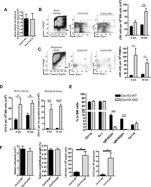 Figure 1. Cxcl12 deficiency leads to hematopoietic progenitor pool expansion in BM. (A) 12 weeks (wks) after tamoxifen treatment, there was no significant change of the total number of BM nucleated cells between Cxcl12-WT (n = 10) and Cxcl12-cKO mice (n = 11) (mean ± SEM; P = .812). (B-C) Representative figures of the gating of Lin−Sca-1+c-Kit+ (LSK) cell populations in BM (B) or peripheral blood mononuclear cells (PBMCs) (C) of Cxcl12-WT and Cxcl12-cKO mice 2 wks or 12 wks after tamoxifen treatment. Right panel shows the percentage of LSK cells in BM or PB (mean ± SEM; *P < .05, **P < .005; n = 6 each). (D) Statistical bar graphs of colony forming unit cell (CFU-C) assay of BM and PB derived from Cxcl12-WT and Cxcl12-cKO mice 2 and 12 wks after tamoxifen treatment (means ± SEM; *P < .05, **P < .005, ***P < .001; n = 6 each group). (E) Lineage-specific marker analysis for BM cells from Cxcl12-WT and Cxcl12-cKO mice 12 wks after tamoxifen treatment. Data are expressed as mean ± SEM (***P < .001; n = 3). (F) Spleen cellularity, spleen/body weight ratio, spleen LSK cells, and CFU-C counts in spleen were examined 12 wks after tamoxifen treatment (mean ± SEM; *P < .05; for spleen cellularity and spleen/body weight ratio n = 10 each, for LSK and CFU-C n = 4 each). For all bar graphs, black bars are Cxcl12-WT and gray bars are Cxcl12-cKO.