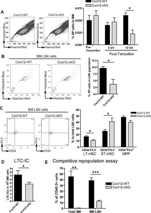 Figure 2. Increased short-term and decreased long-term HSCs upon loss of Cxcl12. (A) Representative figures of side population (SP) analysis in Cxcl12-WT and Cxcl12-cKO mice 12 weeks (wks) after tamoxifen treatment. Bar graph on the right panel shows the percentage of SP cells in BM before and after tamoxifen treatment (mean ± SEM; *P < .05; n = 4 each time point). (B) Representative flow cytometric results of BM SP+LSK cells of both genotype mice 12 wks after tamoxifen treatment. Right panel shows the percentage of SP cells in LSK population in each genotype (mean ± SEM; *P < .05; n = 6 each). (C) Representative figures of flow cytometric analysis of Flt-3 and CD34 expression in LSK cells in Cxcl12-WT and Cxcl12-cKO mice 12 wks after tamoxifen treatment. Right panel is the percentage of Flt-3−CD34−, Flt-3−CD34+, and Flt-3+CD34+ cells in the LSK population from either genotype (mean ± SEM; *P < .05; n = 8 each). (D) Decreased long-term culture-initiating cell (LTC-IC) readout in BM samples (mean ± SEM; *P < .05; n = 7 each). (E) Competitive repopulation assay in which BM donor cells from Cxcl12-WT or Cxcl12-cKO mice (both CD45.2) were mixed 1:1 with CD45.1 competitor BM cells and transplanted into CD45.1 recipient mice. Twelve wks after transplantation, contribution of CD45.2 cells in recipient total BM or BM LSK population were analyzed (mean ± SEM; **P < .005, ***P < .001; n = 4).