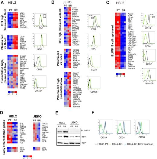 Figure 2. Bortezomib-adapted cell lines display a plasmacytic phenotype. (A-C) Gene expression signatures of plasma-cell differentiation distinguish bortezomib-adapted HBL2-BR (A, C) and JEKO-BR cell lines (B) from the respective PT cell lines. The leading edge of each gene set is displayed in a heat map. Changes in the expression of selected B-cell and plasma-cell surface markers were confirmed by flow cytometry. (D) Early differentiation genes35 variably expressed between the PT and BR cell lines. Of the 50 genes described in the signature, 43 were expressed in the MCL cell lines. Shown are genes with at least a 1.2-fold change in expression: down-regulation for genes expressed in B cells and up-regulation for genes expressed in plasma cells. (E) BLIMP and IRF4 expression in nuclear fractions from PT and BR cell lines assessed by Western blot using TBP as a loading control. (F) HBL2-BR cells were maintained in culture with (HBL2-BR) or without 100nM bortezomib (HBL2-BR Bzm washout) for 2 months. The expression of B-cell and plasma-cell surface markers assessed by flow cytometry in these and the PT cell line (HBL2-PT) are shown.