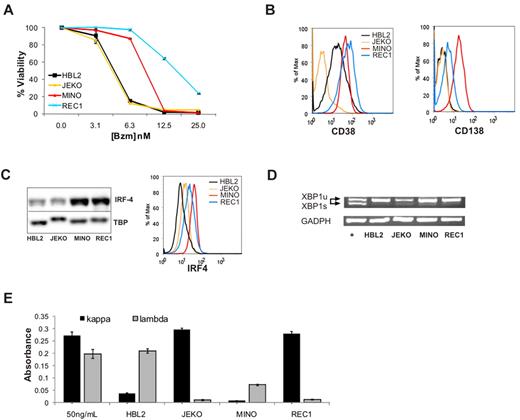 Figure 3. Intrinsically bortezomib-resistant MCL cell lines show plasmacytic features. (A) Dose response of bortezomib (Bzm) in JEKO, HBL2, MINO, and REC1 PT cell lines at 48 hours. The MTT assay was used as readout of viability. (B) Expression of the plasma-cell surface markers CD38 and CD138 measured by flow cytometry. (C) IRF4 expression assessed by Western blot in nuclear fractions using TBP as loading control, and by flow cytometry using the same antibody conjugated to Alexa 647. (D) Analysis of XBP1 mRNA expression by RT-PCR. The active, spliced form (XBP-1s) is shorter and runs faster on the gel than the inactive, unspliced form (XBP-1u). JEKO cells treated with thapsigargin (2μM) for 6 hours were used as the positive control (+) and glyceraldehyde-3-phosphate dehydrogenase (GADPH) for the loading control. (E) Detection of κ and λ immunoglobulins by sandwich ELISA in media containing 50 ng/mL of polyclonal human immunoglobulin G and in supernatants of MCL cell lines cultured for 24 hours at 1 × 106 cells/mL. The absorbance at 450 nm is shown for triplicates ± SD.