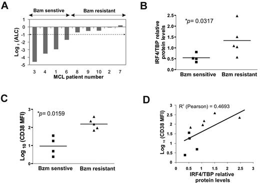 Figure 6. CD38 and IRF4 expression in primary MCL cells is correlated with clinical response to bortezomib. (A) Reduction in the ALC on day 21 of one cycle of bortezomib (Bzm) therapy. (B) IRF4 protein expression in leukemic tumor cells from MCL patients assessed by Western blotting and normalized to TBP. Average of 2 independent determinations is shown. Statistical significance was evaluated using the Mann-Whitney nonparametric U test. (C) Mean fluorescence intensity (MFI) of CD38 surface expression was measured on CD19-gated cells using flow cytometry. Statistical significance was evaluated using the Mann-Whitney nonparametric U test. (D) Pearson correlation between IRF4 expression and CD38 surface expression in MCL patients.