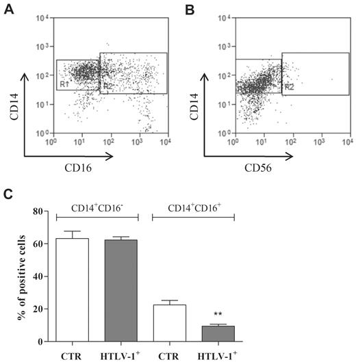 Figure 5. Monocyte subpopulations. Freshly isolated monocytes were obtained from noninfected donors and HTLV-1–infected donors. CD14 and CD16 expression was analyzed by flow cytometry. Representative dot plots showing (A) CD14 and CD16 (R1: CD14+CD16−, R2: CD14+CD16+) and (B) CD14 and CD56 (R1: CD14+CD56−, R2: CD14+CD56+) expression patterns. Data in bars (C) are expressed as percentage of positive cells. Data are mean ± SEM of 6 independent experiments. **Significantly different (P < .01) from control (CTR; CD14+CD16+).