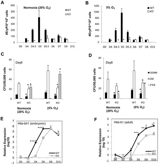 Figure 2. Kinetic analysis of primitive and definitive hematopoietic colonies generated from WT (SIRT1+/+) and knockout (KO; SIRT1−/−) EB cells under normoxia (20% O2) and 5%O2. Primitive erythroid colonies generated from SIRT1+/+ and SIRT1−/− EB-derived cells under (A) normoxia and (B) lower (5%) O2 tension. Definitive GEMM, multilineage progenitors of granulocytes, erythroid cells, macrophages, megakaryocytes; GM, multilineage progenitors of granulocytes and macrophages; and secondary EBs generated from SIRT1+/+ and SIRT1−/− EB-derived cells under normoxia condition and lower (5%) O2 tension at day 6 (C) and day 8 (D). Data are shown as mean ± SD. N = 3; *P < .05. Relative mRNA expression of embryonic globin (E) and adult globin (F) genes from SIRT1+/+ and SIRT1−/− day 0, 2, 4, 6, 8, and 10 EBs by real-time RT-PCR. Error bars indicate SDs from the average of 3 independent experiments, each performed in triplicate; ***P < .001; **P < .01; *P < .05.
