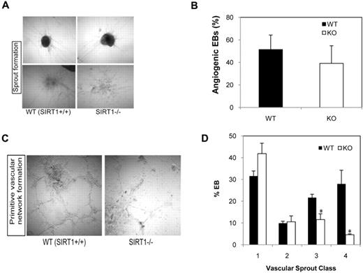 Figure 3. Effect of SIRT1 deletion on in vitro vascular sprout formation in differentiating EBs. (A) Representative micrographs of 3-dimensional in vitro angiogenesis assays with collagen gel-embedded spheroids generated from WT (SIRT1+/+) or KO (SIRT1−/−) day 6 EBs. (B) Analysis of the percentage of angiogenic EBs was performed after 8 days of secondary culture in collagen gel. (C) Representative micrographs of in vitro matrigel assays with SIRT1+/+ or SIRT1−/− day 6 EBs. (D) Percentage of each class of vascular sprouting (see “Vascular sprout formation assay”). Data are shown as mean ± SEM. N = 3; *P = .01-.04. Image acquisition details: Nikon Diaphot microscope, 10×/0.25 numeric aperature objective lens, Nikon F3 camera, NIS-Elements D2.30 software.