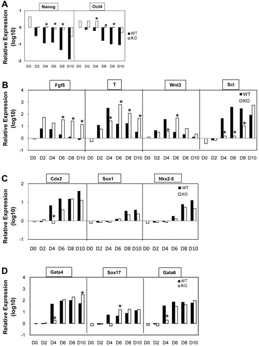 Figure 4. Gene expression analysis of WT (SIRT1+/+) and KO (SIRT1−/−) EBs by real-time PCR analysis. (A) Quantitative RT-PCR (qRT-PCR) analysis of stem cell marker Oct4 and Nanog mRNA levels in day 0-10 SIRT1+/+ and SIRT1−/− EBs. (B) qRT-PCR analysis of mRNA levels of epiblast marker Fgf5, mesoderm markers T, Wnt3, and transcription factor Tal1/Scl in day 0-10 SIRT1+/+ and SIRT1−/− EBs. (C) qRT-PCR analysis of mRNA levels of trophectoderm marker Cdx2, neuroectoderm marker Sox1, and cardiac lineage marker Nkx2-5 in day 0-10 SIRT1+/+ and SIRT1−/− EBs. (D) qRT-PCR analysis of mRNA levels of endoderm/mesoderm markers GATA-4, GATA6, and Sox17 in day 0-10 SIRT1+/+ and SIRT1−/− EBs. Day (D) 0 represents undifferentiated ESCs. Graphs in panels A through D were plotted in logarithmic scale. Data are relative to SIRT1+/+ D0 control and mRNA levels of each gene were compared between SIRT1+/+ and SIRT1−/− EBs at each time point. Results were the average of 3 independent experiments, each performed in triplicate. *P < .05.