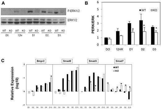 Figure 5. Western Blot analysis of Erk signaling pathways and qRT-PCR analysis of gene expression in day 0-10 SIRT1+/+ and SIRT1−/− EBs. (A) Representative blot and (B) quantification showing phosphorylation of Erk and Erk1/2 protein expression at different time points during EB development. Data are shown as mean ± SEM. N = 3; *P < .05. (C) qRT-PCR analysis of mRNA levels of genes (BMPr2, Smad8, Smad3, Smad7) involved in BMP pathways in day 0-10 SIRT1+/+ and SIRT1−/− EBs. D0 represents undifferentiated ESCs. Graphs in panel C were plotted in logarithmic scale. Data are relative to SIRT1+/+ D0 control and mRNA levels of each gene were compared between SIRT1+/+ and SIRT1−/− EBs at each time point. Results were of 3 independent experiments performed in triplicate. *P < .05.