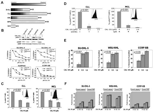 Figure 2. CAL-101 inhibits PI3K signaling and cellular viability. (A) CAL-101 screening of primary cells from patients with ALL, CLL, acute myeloid leukemia (AML), or myeloproliferative neoplasm (MPN) or from normal healthy volunteers (NHV). Cell viability was determined using an 3-carboxymethoxyphenyl)-2-(4-sulphenyl)-2H-tetrazolium assay, and the sensitivity of each sample relative to untreated cells was calculated for estimation of the EC50. The heat map readout shown was generated using GenePattern Version 3.2 software (Broad Institute) and indicates the percentage EC50 for each sample relative to the maximum drug concentration tested (10μM). (B) CAL-101 inhibition of p110δ blocks PI3K signaling in malignant B-cell lines and primary patient tumor cells. Serum-starved cells were incubated with 1μM CAL-101, and total cell lysates were subjected to Western blot analysis using anti–phospho-AktS473, anti-Akt, anti-phospho S6S235/236, and anti-S6 antibodies (supplemental data). Starved cells were incubated with vehicle or serial dilution of CAL-101 for 1 hour, and pAktT308, pS6S235/236, total Akt, and total S6 were detected by PathScan sandwich ELISA (supplemental data). (C-D) CLL (n = 5) and MCL (n = 5) patient whole blood samples were subjected to Ficoll-Hypaque separation. Isolated cells were incubated in RPMI with vehicle or serial dilutions of CAL-101 before fixation and staining with anti–phospho-AktT308 Alexa Fluor 488 or isotype-matched Alexa Fluor 488 antibody. Cells pretreated with CAL-101 or vehicle for 1 hour and then stimulated with 10 μg/mL anti-IgM (BCR activation), or 50 ng/mL sCD40L (CD40 stimulation) for 10 minutes before fixation and staining with anti–phospho-AktS473 Alexa Fluor 488 or isotype-matched Alexa Fluor 488 antibody. FITC-CD5+ cells were gated and analyzed by 2-color flow cytometry to quantify intracellular p-AktT308 levels using the Beckman Coulter Cytomics FC 500MPL using CXP Version 2.2 software. Bar graphs represent the percentage difference in mean fluorescence intensity values between isotype-matched control Ig and phospho-AktT308. (E) CAL-101 induces apoptosis in diffuse large B-cell lymphoma, follicular lymphoma, and B-ALL cell lines. Cells were treated with vehicle or 0.5μM or 1.0μM CAL-101 for 24 hours. The percentage of apoptotic cells was determined by annexin V–FITC/7-AAD staining followed by 2-color flow cytometric analysis. Percentages represent both annexin V–FITC/7-AAD negative and annexin V–FITC/7-AAD double-positive. (F) Cells were cultured in RPMI/10% fetal bovine serum with CAL-101 or vehicle alone for 24 hours, and cells were lysed and analyzed by PathScan Sandwich 96-well ELISA for the detection of cleaved caspase-3 and cleaved poly(ADP-ribose) polymerase as indicated (supplemental data). Results are expressed as mean ± SD. Statistically significant differences between means were determined using a one-way analysis of variance. Data are expressed as the fold change and are representative of 3 separate experiments.