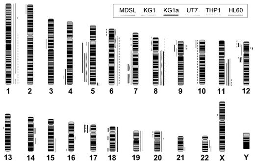 Figure 1. Summary of cytogenetic alterations in 6 human leukemia cell lines by aCGH. Whole-genome frequency distribution of chromosomal alterations in 6 human leukemia cell lines as detected by array CGH and visualized by SeeGH. Lines to the right of the chromosome indicate gain of chromosomal material. Lines to the left of the chromosome indicate loss of chromosomal material. Line patterns correspond to the indicated cell line.