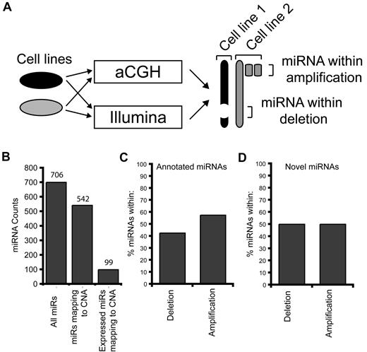 Figure 3. miRNA mapping to CNAs. (A) Schematic representation of the approach to identify miRNAs within CNAs. Each of the 6 cell lines were simultaneously analyzed for CNAs by aCGH and small RNA expression by massively parallel sequencing on the Illumina platform. The CNAs for the 6 cell lines were annotated (Table 1) and subsequently merged. Similarly, miRNA expression data from all 6 cell lines were used to identify expressed miRNAs that map to the CNAs (Table 2). By this approach, we were able to identify miRNAs that map to a homozygous deletion in one cell line by using miRNA expression values from the pooled data. (B) Distribution summary of miRNAs mapping to leukemia-associated genomic alterations found in 6 human leukemia cell lines. According to the current miRNA database (miRBase v13.0), there are 702 human miRNAs. Of these, 542 miRNAs map to CNAs identified in the 6 leukemia cell lines. After small RNA sequencing, 99 miRNAs (of 542) are expressed above background and map to CNAs. (C-D) Proportion (in percent) of the 99 expressed miRNAs within each cell line mapping to genomic regions of amplifications or deletions.
