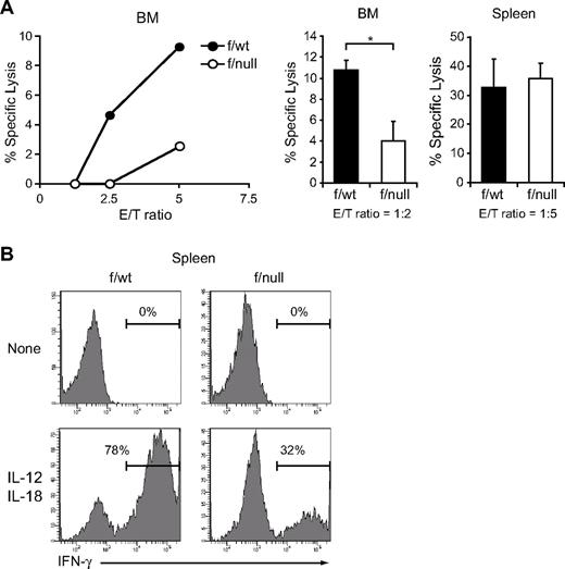 Figure 3. Decreased functional NK cells in CXCR4 conditionally deficient mice. (A) In vitro cytotoxicity of NK cells in the bone marrow (left and middle) or spleen (right) from pIpC-treated MxCre/CXCR4f/wt or MxCre/CXCR4f/null mice. LDH release assay was used to measure NK lytic activity against the NK cell-sensitive YAC-1 target cells. DX5+ cells purified by magnetic-activated cell sorting (left) and sorted CD3−NK1.1+ NK cells (middle and right) were used as effector cells and were incubated with YAC-1 target cells at the indicated effector-to-target cell ratios (E/T) for 4 hours. Data are representative of 3 experiments; n = 3. *P < .05. (B) Flow cytometric analysis of in vitro IFN-γ production by NK cells in the spleen from pIpC-treated MxCre/CXCR4f/wt or MxCre/CXCR4f/null mice. Splenocytes were stimulated with IL-12 and IL-18 for 6 hours. IFN-γ production was measured in CD3−NK1.1+ NK cells by intracellular staining.