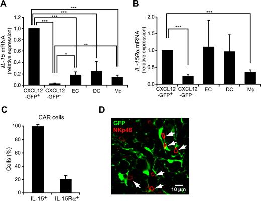 Figure 6. The expression of IL-15 in CAR cells and their association with NK cells in bone marrow. (A-B) Quantitative RT-PCR analysis of mRNA expression of IL-15 (A) and IL-15Rα (B) in CXCL12-GFPhi (CAR) cells, CD45−CXCL12-GFP− nonhematopoietic cells, CD45−CD31+ endothelial cells (EC), CD11chigh MHC class IIhigh DCs, and Gr-1loMac-1+ myeloid lineage cells (Mϕ) in the bone marrow from wild-type mice or CXCL12-GFP knock-in mice. (C) Single-cell RT-PCR analysis of the frequencies of cells expressing IL-15 or IL-15Rα in sorted CAR cells; n = 3. (D) The bone marrow sections from CXCL12-GFP knock-in mice were stained with antibodies against NKp46 (red). Most NKp46+ NK cells are in contact with CAR cells (green). *P < .05. **P < .01. ***P < .001.