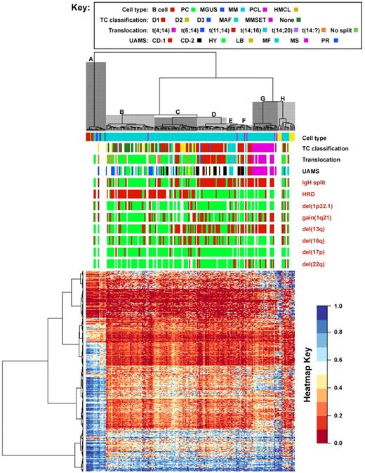 Figure 3. Unsupervised hierarchical clustering of samples reveals discrete methylation groups on the basis of cytogenetic abnormalities. Distinct clades are highlighted and labeled A-H. Samples are color coded with cytogenetic data: cell type, translocation, TC, and UAMS classifications and colors are as per the key. Other cytogenetic data are coded as red for present, green for absent, and white for no data. Heatmap key indicates β-value methylation level. UAMS subgroups: CD-1/CD-2, cyclin D1 subgroups; HY, hyperdiploid; LB, low bone disease; MF, MAF; MS, MMSET/FGFR3; PR, proliferation. TC subgroups: D1, cyclin D1; D2, cyclin D2; D3, cyclin D3; MAF, MAF/MAFB; MMSET, MMSET/FGFR3 MAF, v-maf musculoaponeurotic fibrosarcoma oncogene homolog.