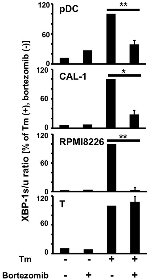Figure 2. Bortezomib inhibits XBP1 splicing in pDCs. Purified pDCs, the pDC tumor cell line CAL-1, the myeloma cell line RPMI 8226, or resting T cells were cultured without or with 100nM bortezomib for 1 hour, and 5 μg/mL tunicamycin (Tm) was added 4 hours before harvest. The expression levels of XBP1u and XBP1s mRNA were measured by real-time RT-PCR and normalized to those of GUS. The XBP1s/XBP1u ratios were calculated. The data are normalized to the value obtained with tunicamycin in the absence of bortezomib. *P < .05; **P < .01. The data are shown as means ± SE of 3 (pDC) or 4 (CAL-1, RPMI8226, T) independent experiments.