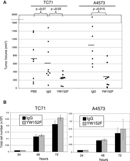 Figure 4. YW152F inhibits the growth of Ewing sarcoma in vivo and does not effect tumor cell proliferation or viability in vitro. (A) TC71 or A4573 cells were subcutaneously injected in nude mice that had previously received GFP+ BM transplants. Mice were treated twice weekly with YW152F, IgG, or PBS and tumor growth was quantified. Black lines show mean volumes for each group. (B) TC71 or A4573 cells were seeded in triplicate in 6-well dishes. Cells were treated daily with either 5 μg/mL of YW152F or human IgG control. Cell viability and total cell number were assessed at 48 and 72 hours using the trypan blue assay and automated Vi-Cell cell counter. Black bars represent IgG-treated cells, and striped bars represent YW152F-treated cells. (P > .05 for all data.)