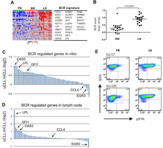 Figure 4. BCR activation in LN-resident CLL cells. (A) Genes in the CLL-BCR signature that were most significantly enriched in the LN as identified by GSEA (leading-edge genes) are depicted in a heat map for the 12 patients having contributed cells from all 3 compartments. (B) The BCR score was computed as the average of the mRNA expression level of the leading edge genes for each sample. Shown is the ratio of the BCR score in BM (n = 19) or LN (n = 17) relative to the score of the matched PB sample. Comparison between BM and LN was by Student t test. The sample with exceptionally high score in BM was obtained from CLL_C10. (C, D) Relative gene expression changes of BCR-regulated genes between UM-CLL and M-CLL. Each gene is represented by a bar, select genes are highlighted. (C) Ratio of relative gene expression change after IgM cross-linking between UM-CLL (n = 4) and M-CLL (n = 4). Bars represent 61 genes, as described in Figure 3A. The fold up-regulation of each gene was averaged for each subtype and the ratio between UM-CLL and M-CLL is shown on a log2 scale. (D) Ratio of relative gene expression change in UM-CLL (n = 12) and M-CLL (n = 5) between the LN- and matched PB-derived cells. Bars represent all 61 genes as in panel C. The fold up-regulation of each gene in the LN-derived cells compared with the matched PB sample was averaged within each subtype, and the ratio between UM-CLL and M-CLL is shown on a log2 scale. (E) Phosphorylation of SYK was assessed by flow cytometry in CD3− cells from the indicated anatomical site. Shown are 2 representative patients of a total of 6 analyzed; in 5 patients, staining for pSYK was increased in LN- compared with PB-derived cells (median 7-fold increase).
