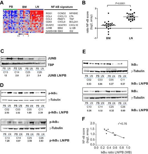 Figure 5. NF-κB is activated through the canonical pathway in LN-derived CLL cells. (A) Genes in the NF-κB signature that were most significantly enriched in the LN as identified by GSEA (leading edge genes) are depicted in a heat map for the 12 patients having contributed cells from all 3 compartments. (B) The NF-κB score was computed as the average of the mRNA expression level of the leading edge genes for each sample. Shown is the ratio of the BCR score in BM (n = 19) or LN (n = 17) relative to the score of the matched PB sample. Comparison between BM and LN was by Student t test. The sample with the exceptionally high score in the BM was obtained from CLL_C10. (C) Western blot of nuclear lysates from purified CLL cells; JUNB expression was normalized to TBP and the ratio between LN- and PB-derived cells is shown. Western blots of cytoplasmic protein fractions from purified CLL cells were probed for phosphorylated IκBα (p-IκBα, Ser 32-36; D) and for total IκBα (E). IκBα and p-IκBα expression quantified by densitometry was normalized to γ-tubulin and the ratio between LN- and PB-derived cells is shown. (F) Pearson correlation between IκBα expression and the NF-κB gene expression score.