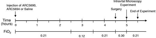 Figure 2. Hypoxia/normoxia protocol to study effects of ARC5690 on sickle RBC and leukocyte adhesion. SCD mice were injected with saline, ARC5690 or ARC5694. Two and one-half hours after injection, mice were subjected to 1 hour of hypoxia (FiO2 = 0.12) followed by 1 hour of normoxia in room air (FiO2 = 0.21), and intravital studies were then initiated. During surgery, mice were supplemented with 30% O2. FiO2 indicates fraction of inspired oxygen in a gas mixture.