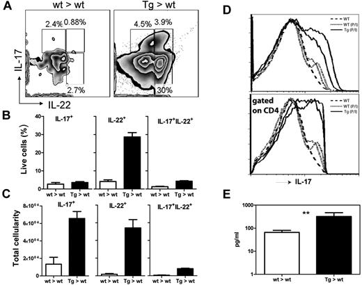 Figure 6. G-CSF, IL-22, and IL-17 are elevated in IL-22R1 tg mice. (A) Zebra plot showing intracellular levels of IL-17 and IL-22 in T cells in lungs when injected with Brefeldin A for 6 hours intravenously. Graphs showing levels of IL-17 and IL-22 as percentage (B) and total cellularity (C). (D) Histogram of flow cytometric analysis of splenocytes stimulated with PMA and ionomycin for 5 hours blocked with Brefeldin A and stained with CD4 and IL-17 antibodies. (E) Cytometric bead array to assay the concentrations of G-CSF in the serum of IL-22R1 (n = 5) tg founders and nontransgenic littermates (n = 5). The data are represented as the mean ± SEM. **P < .01.
