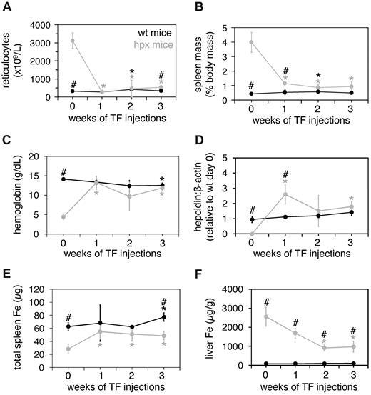 Figure 1. Tf treatment of wild-type and hpx mice. Eight-week-old wild-type (wt) and hpx mice were injected intraperitoneally with 10 mg human Tf (TF; 0.3 mL total volume) every other day for 3 weeks. Reticulocyte counts (A), spleen masses (as percent of total body mass; B), hemoglobin levels (C), liver hepcidin levels relative to β-actin levels as measured by quantitative polymerase chain reaction (QPCR; D), total spleen iron (Fe) levels (E), and liver Fe concentrations (F) were determined from animals harvested at 0, 1, 2, and 3 weeks. Total spleen Fe levels were determined by multiplying spleen mass by spleen iron concentration. Each data point represents 3 mice. A ‘#’ above a data point indicates that the values for wild-type and hpx mice differ significantly for that time point (t test, P < .05); a ‘*’ above a data point indicates that the value at that time point differs significantly from the value at day 0 for that genotype or treatment group. Bars indicate 1 SD.