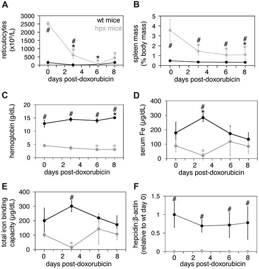 Figure 3. Doxorubicin treatment of wild-type and hpx mice. Eight-week-old wild-type (wt) and hpx mice were injected intraperitoneally with 0.25 mg doxorubicin and harvested and analyzed at 0, 3, 6 and 8 days for reticulocyte counts (A), spleen masses (B), hemoglobin levels (C), serum iron (Fe) concentrations (D), total iron-binding capacities (E), and liver hepcidin levels relative to β-actin levels as measured by QPCR (F). Each point represents 4 to 6 mice. The symbols ‘#’ and ‘*’ indicate statistical significance as in Figure 1.