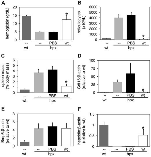 Figure 5. Transfusion of hpx mice with wild-type RBCs. Hpx mice were transfused with 0.5 mL PBS or washed wild-type RBCs every other day for 1 week then harvested on day 7 and analyzed for hemoglobin levels (A), reticulocyte counts (B), spleen masses (C), splenic Gdf15 levels (D), and hepatic Bmp6 (E) and hepcidin (F) levels. Gene expression levels were measured by QPCR and expressed as a ratio to β-actin levels. A ‘*’ indicates statistical significance (t test, P < .05) relative to values for PBS-transfused hpx mice.