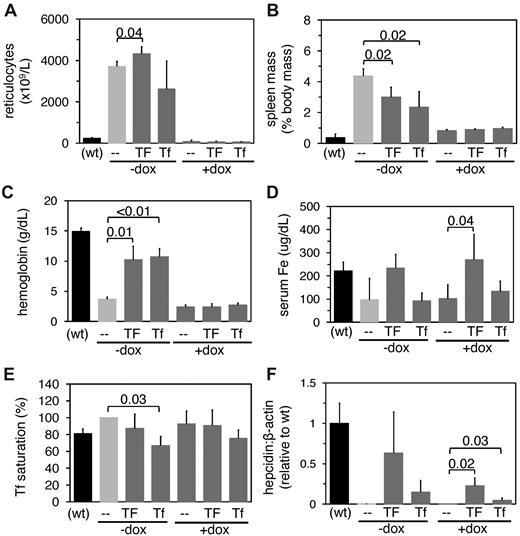 Figure 6. Doxorubicin and Tf treatment of hpx mice. Eight-week-old hpx mice were treated with or without 0.25 mg doxorubicin (+dox and -dox) on day 0; mice were then treated with or without 10 mg human Tf (TF) or 2.5 mg mouse Tf (Tf) on day 3 and 5. Mice were then harvested on day 6 and analyzed for reticulocyte counts (A), spleen masses (B), hemoglobin levels (C), serum iron (Fe) levels (D), Tf saturations (E), and hepcidin levels relative to β-actin levels by QPCR (F). Untreated wild-type (wt) mice, indicated in parentheses, were included for reference. Each bar represents 4 to 5 mice. Numbers indicate outcome of t test between bracketed values.