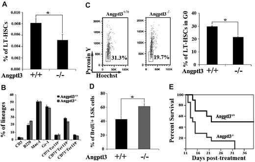 Figure 2. Angptl3 is required for the quiescence of HSCs in vivo. (A) Relative frequency of LT-HSCs as Lin−Sca-1+Kit+Flk2−CD34− cells in WT and Angptl3-null BM at 8-12 weeks (*P < .05, n = 16). (B) The major hematopoietic lineages were normal in Angptl3-null mice. The major lineages of hematopoietic cells in BM in WT and Angptl3-null mice were quantitated by flow cytometry analysis as T cells (CD3), B cells (B220), myeloid cells (Mac-1 and Gr-1), and erythroid cells (CD71−Ter119+, CD71+Ter119+, and CD71+Ter119−). (C) Angptl3-null BM HSCs are less quiescent than WT HSCs. In the left panel, LT-HSCs as Lin−Sca-1+Kit+Flk2−CD34− cells from a representative WT or Angptl3-null mouse, stained with Hoechst 33 342 and pyronin Y, were analyzed for cell cycle stage. In the right panel, the percentages of G0 cells for Angptl3-null and WT cells are shown (*P < .05, n = 9, right). (D) BrdU incorporation indicates decreased cycling in HSCs isolated from WT mice compared with those isolated from Angptl3-null mice (*P < .05, n = 5). (E) Angptl3-null mice were more sensitive than WT mice to myelotoxic injury. WT or null mice were treated with 150 mg/kg 5-FU intraperitoneally as described in Methods. Survival of the 2 groups was analyzed using a log-rank nonparametric test (P < .05, n = 10-14 in each group) and shown as a Kaplan-Meier survival plot.