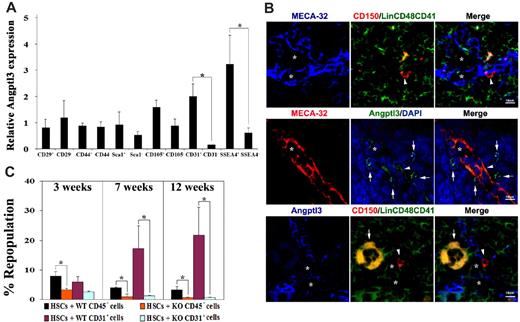 Figure 4. Angptl3-producing BM endothelial cells support HSC activity. (A) Angptl3 is highly expressed in BM endothelium and CD45−SSEA4+ cells. Indicated populations of BM cells were collected by flow cytometry and Angptl3 expression was measured by real-time RT-PCR. The cells sorted for analysis were gated from the CD45− fraction. (*significantly different between 2 groups, P < .05, n = 6). The levels of Angptl3 mRNA in each population were normalized to the level of β-actin transcripts present in the same sample (Mean ± s.e.m). (B) BM Angptl3+ endothelium is close to HSCs. Top, HSCs were associated with sinusoidal endothelial cells in mouse BM. BM was stained to reveal CD150+CD48−CD41−Lin− HSCs (red, with arrowhead); MECA-32+ sinusoidal endothelial cells (blue, with star); and CD41+, CD48+, or Lin+ differentiated hematopoietic cells (green or orange). Middle, most sinusoidal endothelial cells in mouse BM were Angptl3+, and some Angptl3+ cells were close to the sinusoidal endothelium. Most sinusoidal endothelial cells were also positive for Angptl3 (arrowhead); many Angptl3+ cells (green, with arrows) were also in contact with MECA-32+ sinusoidal endothelial cells (red). Nuclei were counterstained with DAPI (blue). Bottom, HSCs were associated with Angptl3+ cells in mouse BM; 31 of 51 (60.8%) HSCs are adjacent to Angptl3+ cells ( ≤ 2 cell distances). CD150+CD48−CD41−Lin− HSCs (red, with arrowhead), Angptl3+ cells (blue), and CD41+, CD48+, or Lin+ differentiated hematopoietic cells (green or orange). One megakaryocyte is marked by an arrow. Star markers indicate the possible vascular niche. Scale bar applies to all images. (C) Angptl3-deficient BM CD45− cells and CD45−CD31+ cells had decreased ability to support expansion of HSCs. One hundred and fifty BM CD45.1 Lin−Sca-1+Kit+Flk-2−CD34− cells were cocultured with 450 CD45− BM stromal cells isolated from CD45.2 WT mice (black bar), 450 CD45−CD31+ BM endothelial cells isolated from CD45.2 WT mice (purple bar), or the same number of CD45− or CD45−CD31+ cells from Angptl3-null mice (orange or green bars, respectively) in serum-containing StemSpan supplemented with SCF, TPO, and FGF-1. After 5 days, the cocultured cells were cotransplanted with 1 × 105 CD45.2 competitors into lethally irradiated CD45.2 recipient mice. The figure shows the engraftment at 3, 7, and 12 weeks after transplantation (*significantly different between 2 groups. P < .05, n = 7-8).