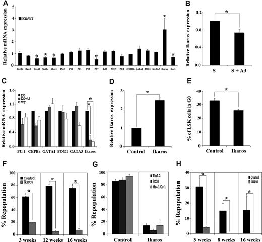 Figure 5. Angptl3 represses the expression of Ikaros to maintain stemness. (A) Angptl3-null HSCs had increased expression of Ikaros compared with WT HSCs. Lin−Sca-1+Kit+Flk2−CD34− cells were collected from WT or Angptl3-null BM. Gene expression analyzed by real-time RT-PCR is shown. The gene expression in WT samples was normalized to 1. (*significantly different from WT values, P < .05, n = 7). (B) The real-time RT-PCR analysis of bone marrow Lin−Sca-1+Kit+Flk2−CD34− cells cultured in SCF-containing serum-free medium, treated with or without 500 ng/mL Angptl3 for 24 hours. Gene expression in untreated samples was normalized to 1. (C) The real-time RT-PCR analysis of WT and Angptl3-null bone marrow Lin−Sca-1+Kit+Flk2−CD34− cells cultured in serum-free STF medium, treated with or without 500 ng/mL Angptl3 for 8 days. Gene expression in Angptl3-null samples was normalized to 1. Results of averages of all real-time RT-PCR reactions are shown. (*P < .05, n = 3). (D) Forced expression of Ikaros increased Ikaros expression 2.5-fold. Mouse E16 fetal liver CD45.1 Lin− cells were infected by retroviruses encoding GFP or Ikaros-IRES-GFP. The infection efficiency of Ikaros-IRES-GFP was approximately 20%. Three days later, 50 000 GFP+ cells were transplanted into lethally irradiated CD45.2 recipients. The expression of Ikaros in HSCs was quantitated by real-time RT-PCR 4 months after transplantation. (E) Overexpression of Ikaros decreased quiescence of HSCs. Cell cycle status of the donor GFP+Lin−Sca-1+Kit+ cells shown in panel D was analyzed by Hoechst/pyronin Y staining 4 months after transplantation (n = 6). (F) Mouse E16 fetal liver CD45.2 Lin− cells were infected by retroviruses encoding GFP or Ikaros, and 1.7 × 105 of these sorted GFP+ cells were cotransplanted with 105 CD45.1 bone marrow competitors into lethally irradiated CD45.1 recipients for competitive repopulation analysis. Donor engraftment at indicated time after transplantation is shown (*P < .05, n = 9). Data shown are representative of 4 different experiments that produced similar results. (G) Multilineage contribution of donor cells in recipients at 13 weeks after transplantation (n = 9). (H) Ikaros-overexpressing HSCs had diminished repopulation capacity in secondary transplantation. Fifteen hundred CD45.2 GFP+Lin−Sca-1+Kit+ cells isolated from primary transplanted mice as described in panel F were cotransplanted with 105 CD45.1 bone marrow competitors into lethally irradiated CD45.1 recipients for secondary competitive repopulation analysis. Donor engraftment at 3, 8, and 16 weeks after transplantation is shown (*P < .05, n = 5).