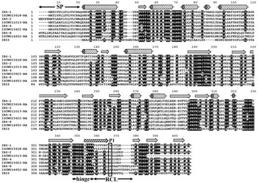 Figure 1. Alignment of the 4 full-length I ricinus serpin clones with their orthologs from I scapularis obtained from the completed I scapularis genome. All serpins are compared with IRIS, the only functionally characterized tick serpin so far. Unlike IRIS, IRS-2 has a clear signal peptide (residues 1-21). The secondary structure elements are indicated according to the IRS-2 crystal structure: α-helixes (cylinders), β-strands (arrows); the hatched arrow represents the region that undergoes a conformational change from a loop to a β-strand after proteolytic cleavage of RCL. SP, signal peptide; hinge, hinge region, an important determinant of serpin inhibitory potential; RCL, reactive center loop; P1 (rectangle), predicted residue behind which the target protease cleaves the RCL.