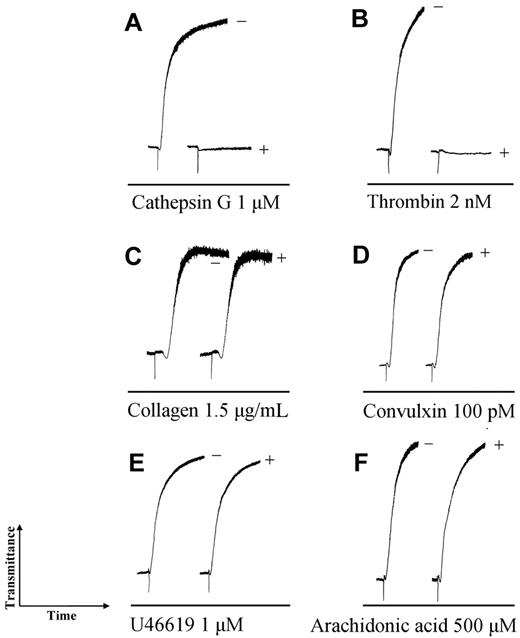 Figure 6. IRS-2 inhibits platelet aggregation induced by cathepsin G. In all experiments, 1.5μM IRS-2 was incubated with the indicated amount of platelet aggregation activator for 15 minutes and the mixture was added to platelets. (−) activator only, (+) activator plus IRS-2.