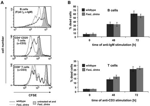 Figure 2. Increased ex vivo lymphocyte proliferation in the absence of the intracellular FasL domain. (A) CFSE-labeled lymphocytes were either treated for 72 hours with 5 μg/mL coated anti-CD3 antibody (T cells), for 72 hours with 2.5 μg/mL soluble F(ab′)2 anti-IgM antibody (B cells) or were left untreated (filled gray peaks, negative control). B cells (top panel), CD4+ CD25− helper T cells without regulatory T cells (middle panel) and CD8+ cytotoxic T cells (bottom panel) were isolated from splenocytes. Activation-induced proliferation of living cells (propidium iodide negative) was measured by FACS analysis, as represented by the decrease in CFSE fluorescence intensity. The solid line represents wild-type cells while the dotted line represents cells from homozygous FasL ΔIntra mice. One representative experiment of 5 (T cells) or 1 of 4 (B cells) is shown. (B) The observed differences in proliferation are not due to differences in activation-induced cell death. Lymphocytes used for the CFSE proliferation assays were simultaneously seeded under identical conditions for annexinV/PI staining. The number of dead cells was quantified 48 and 72 hours after stimulation with anti-IgM (B cells) or plate-bound anti-CD3 (T cells) antibodies by FACS analysis. Dark gray columns represent wild-type and light gray columns FasL ΔIntra cells. The columns display the mean and bars the SE of 5 individual experiments.