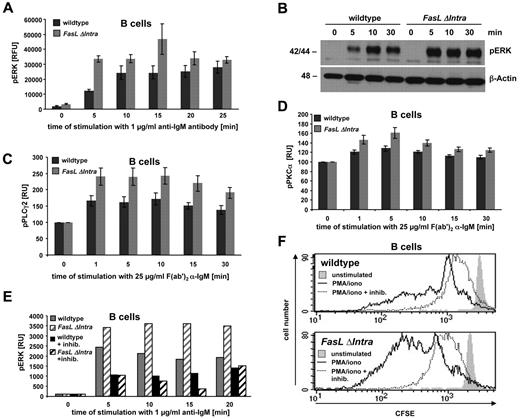 Figure 4. The FasL ICD dampens ERK1/2 activity during B cell activation by inhibiting PKCα phosphorylation. (A) Increased ERK1/2 phosphorylation in activated homozygous FasL ΔIntra B cells. Naive splenic B cells were stimulated with 1 μg/mL soluble anti-IgM antibody for the indicated time points and analyzed for ERK1/2 phosphorylation by ELISA. The diagram displays the relative induction of ERK1/2 activation over time during anti-IgM treatment, measured as the increase in relative fluorescence intensity of phosphorylated ERK1/2 compared with total ERK1/2 protein. Wild-type cells are represented by the dark gray columns and homozygous FasL ΔIntra cells by light gray columns. Mean values of 4 independent experiments are shown, and the error bars indicate the SE. (B) Western Blot analysis of total cell lysates prepared from wild-type and homozygous FasL ΔIntra splenic B cells that were stimulated for 0, 5, 10, and 30 minutes with 1 μg/mL anti-IgM antibody. Phosphorylated ERK1/2 was detected with a rabbit anti–mouse pERK1/2 antibody; β-actin served as a loading control. (C,D) The activating phosphorylation of PLCγ2 and PKCα is repressed by the FasL ICD. Activation of PLCγ2 (C) and PKCα (D) after stimulation of naive wild-type and homozygous FasL ΔIntra splenic B cells with 25 μg/mL F(ab′)2 anti-IgM antibody for the indicated times was evaluated by intracellular staining of the phosphorylated proteins, followed by FACS analysis. The relative geometric mean fluorescent intensity (MFI) of activated cells was calculated against the MFI of untreated cells. Mean data of 11 (PLCγ2) and 12 (PKCα) independent experiments are shown together with standard errors. (E) ERK1/2 activation in activated mouse B cells is PKCα-dependent. ERK phosphorylation, in response to B cell stimulation with 1 μg/mL anti-IgM antibody, was determined by ELISA, either in the presence or absence of the PKC inhibitor GF109203x hydrochloride (1μM). Wild-type cells are illustrated by solid and homozygous FasL ΔIntra cells by striped columns. The gray color represents cells without and the black color the corresponding inhibitor-treated cells. (F) PKCα regulates FasL reverse signaling-influenced B cell proliferation. Proliferation of wild-type and homozygous FasL ΔIntra naive splenic B cells in response to stimulation with 100 ng/mL PMA and 0.2 μg/mL ionomycine in the presence (1μM) or absence of the PKC inhibitor GF109203x hydrochloride (Sigma-Aldrich) was measured after 72 hours by a FACS-based CFSE dilution assay. Nonstimulated cells are represented by the light gray-filled histogram. The solid line shows activated B cells without PKC inhibitor, the dotted line indicates the activated inhibitor-treated cells. One representative experiment of 4 is shown.