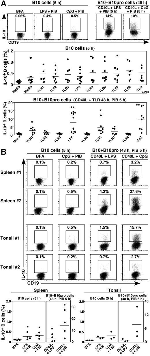 Figure 2. Human B10 and B10pro cells in (A) cord blood and (B) spleen and tonsil. B10 cells and B10 + B10pro cells were identified after in vitro stimulation for 5 hours and 48 hours, respectively, as in Figure 1. Representative results are shown along with graphs indicating IL-10+ B-cell frequencies within persons. Cells cultured with BFA alone served as negative controls for background IL-10 staining. Significant differences between means of BFA controls and individual stimuli are indicated: *P < .05; **P < .01.