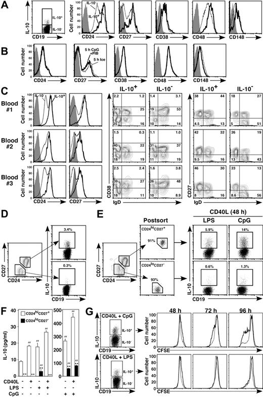 Figure 5. Ex vivo blood B10 and B10pro cells share cell surface markers with memory B cells. (A) Blood B10 cells predominantly exhibit a CD24hiCD27+CD48hiCD148hi phenotype. Purified blood B cells were cultured with CpG + PIB for 5 hours before immunofluorescence staining for viability, cell surface molecule expression, and cytoplasmic IL-10. Cell surface CD24, CD27, CD38, CD48, and CD148 expression by IL-10+ (thick line) and IL-10− (thin line) CD19+ cells was assessed by flow cytometry. (B) Cytoplasmic IL-10 induction does not affect the cell surface phenotype of B cells. CD19+ blood B cells were cultured with media on ice (thin line) or with CpG + PIB (thick line) for 5 hours before immunofluorescence staining and flow cytometry analysis as in panel A. (A-B) Shaded histograms represent isotype-matched control mAb staining. Results represent those obtained for 3 persons. (C) Distributions of B10 cells within B-cell subsets defined by CD24, CD27, IgD/CD38, and IgD/CD27 expression. Purified blood B cells were cultured with LPS + PIB for 5 hours before immunofluorescence staining and flow cytometry analysis as in panel A. The horizontal and vertical lines on each contour plot are shown for reference, with the lower left quadrants delineating the IgD−CD38− and IgD−CD27− subsets determined by control mAb staining. Results represent those obtained for 5 persons. (D) The ex vivo CD24hiCD27+ B-cell subset includes the majority of B10 cells. Purified B cells were cultured with LPS + PIB for 5 hours before immunofluorescence staining for cell surface CD19, CD24, and CD27 expression and cytoplasmic IL-10 expression, with subsequent flow cytometry analysis. (E) B10pro cells derive from the CD24hiCD27+ B-cell subset. Purified blood B cells were sorted into the CD24hiCD27+ and CD24lowCD27− B-cell subsets, as indicated by the gates shown with purities more than 90% when reanalyzed by flow cytometry. The purified B cells were cultured with CD40L plus either LPS or CpG for 48 hours, with PIB added during the final 5 hours of culture before the relative percentages of IL-10+ B cells within the indicated gates was determined. Similar results were obtained in 2 independent experiments. (F) Ex vivo CD24hiCD27+ B cells are the predominant source of secreted IL-10. Purified blood B cells were sorted into the CD24hiCD27+ and CD24lowCD27− B-cell subsets as in panel E and cultured with the indicated stimuli for 72 hours. IL-10 secreted into the culture supernatant fluid was quantified by ELISA. Bar graphs represent mean IL-10 (± SEM) concentrations from triplicate ELISA determinations. Significant differences between means from CD24hiCD27+ and CD24lowCD27− B cells are indicated: **P < .01. Differences between means from cells in media or with stimuli are indicated: ##P < .01. (G) B10-cell proliferation in vitro. Blood mononuclear cells were labeled with CFSE and cultured with CD40L and CPG (top panels) or CD40L and LPS (top panels) for 48 to 96 hours, with PIB added for the last 5 hours of culture. Histograms (right) represent CFSE expression by the IL-10+ (thick line) or IL-10− (thin line) B-cell subsets. Results are representative of 2 independent experiments.