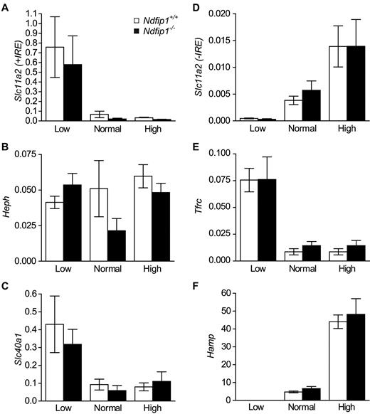 Figure 3. mRNA levels of genes involved in regulating iron homeostasis in Ndfip1+/+ and Ndfip1−/− mice fed either a low-, normal, or high-iron diet. (A) Slc11a2 (+IRE isoform), (B) Heph, and (C) Slc40a1 in the duodenum. These genes are involved in iron uptake from the diet. (D) Slc11a2 (-IRE isoform), (E) Tfrc1, and (F) Hamp in the liver. These genes are involved in iron storage. Slc11a2, DMT1; Heph, hephaestin; Slc40a1, ferroportin 1; Tfrc, transferrin receptor 1; Hamp, Hepcidin. All genes respond to the different diets as expected. Data represent mean ± SE, *P < .05, n = 7-9.