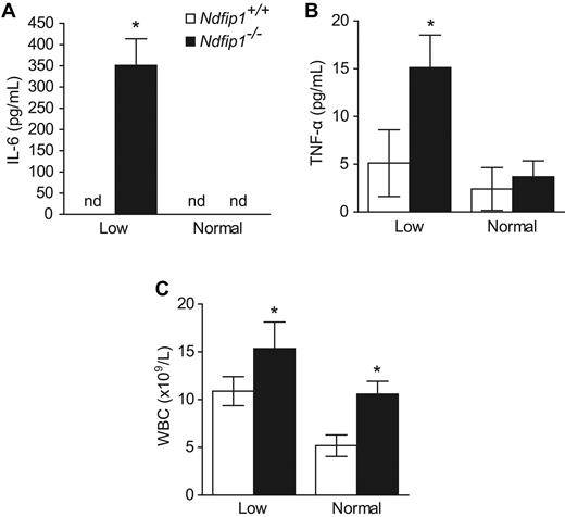 Figure 5. The anemia of Ndfip1−/− mice under iron-deficient conditions is partly contributable to inflammation. (A) IL-6 and (B) TNF-α are increased in Ndfip1−/− mice compared with Ndfip1+/+ mice fed a low-iron diet but are not significantly different on the normal diet. (C) WBC count is significantly increased in Ndfip1−/− mice compared with Ndfip1+/+ mice fed both the low-iron and normal diet. These factors are indicative of anemia of inflammation. nd, not detected. Data represent mean ± SD, *P < .05, n = 3-7.