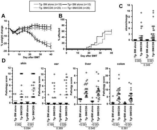 Figure 1. Recipient Langerhans cells are not required for clinical or histologic GVHD in the C3H.SW→B6 model. Tg+ and Tg− hosts were irradiated and reconstituted with C3H.SW BM with or without 2-3 × 106 purified C3H.SW CD8 cells. Shown are data from 1 of 2 experiments with comparable results. Tg+ and Tg− CD8-recipients had similar weight change (A; P > .170 comparing Tg+ and Tg− CD8 recipients at all time points; P < .01 comparing each CD8 group to its respective BM alone control from day +20 onward), incidence of clinical skin disease (B; P = .299 comparing Tg+ and Tg− CD8 recipients; P < .001 comparing each CD8 recipient to its BM alone control), and number of skin ulcers (C). (D) GVHD pathology scores in skin, ear, liver, and colon. The P values for number of skin ulcers and pathology scores are shown in the figure.