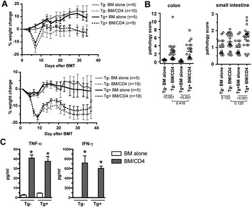 Figure 2. Recipient Langerhans cells are not required for clinical or histologic GVHD in the B6bm12→B6 model. Tg+ and Tg− hosts were irradiated and reconstituted with B6bm12 BM with or without B6bm12 splenocytes containing 106 CD4 cells. (A) Percentage weight change in 2 independent experiments. P > .07 comparing Tg+ and Tg− CD4 recipients at all time points; P < .05 comparing each CD4 group to its respective BM-alone control from day +13 onward. (B) Pathology scores from the 2 experiments combined; P values are shown in the figure. Serum samples collected from predesignated mice on day +7 after BMT were analyzed for cytokine levels (C; 3 samples per group; *P = .05 comparing BM-alone to CD4 recipients; P = .7 comparing CD4-recipient groups; data from 1 of 2 experiments with similar results).