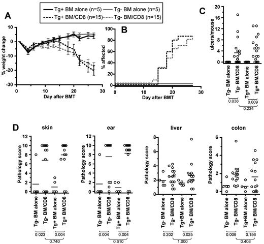 Figure 5. Donor Langerhans cells are not required for GVHD in the C3H.SW→B6 strain pairing. B6 mice were irradiated and reconstituted with Tg+ or Tg− C3H.SW BM with or without Tg+ C3H.SW CD8+ T cells. Clinical GVHD was similar in both CD8-recipient groups as measured by percentage weight loss (A; P > .146 comparing CD8 recipients of Tg+ or Tg− BM from day 14 onward; P < .021 comparing each CD8 group to its respective BM alone control from day 22 onward), incidence of skin disease (B; P = .514 comparing CD8 recipients of Tg+ and Tg− BM; P < .004 comparing each CD8 recipient to its BM-alone control) and the number of skin ulcers (C; P = .234 comparing CD8 recipients of Tg+ and Tg− BM; P < .04 comparing each CD8 recipient to its BM-alone control). (D) Histopathology scores. P values are noted in the figure.