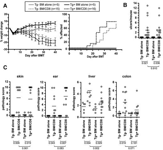 Figure 6. Similar GVHD in C3H.SW Tg−→B6 Tg− and C3H.SW Tg+→B6 Tg+ CD8 recipients. GVHD in Tg−→Tg− and Tg+→Tg+ transplantations was similar as measured by percentage weight change (A; P > .13 comparing Tg+ and Tg− CD8 recipients from day 8 onward; P < .02 comparing each CD8 group to its respective BM-alone control from day 26 onward), incidence of skin disease (B; P = .41 comparing Tg+ and Tg− CD8 recipients; P < .014 comparing each CD8 recipient to its BM-alone control), and number of skin ulcers (C; P = .91 comparing Tg+ and Tg− CD8 recipients; P < .036 comparing each CD8 recipient to its BM-alone control). (D) Pathology scores. P values are noted in the figure.