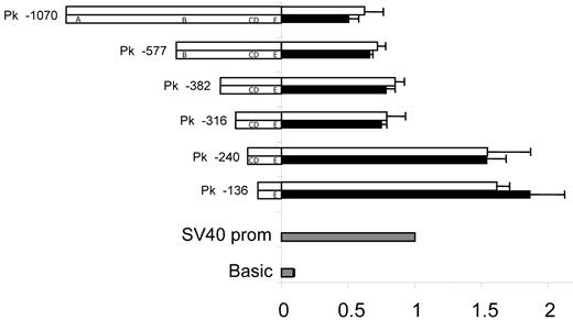 Figure 4. Promoter activity is unaffected by polymorphic sites. Two promoter variants, I (top) and II (bottom), that included the 2 polymorphic sites previously associated with the P1/P2 phenotypes32–34 were constructed as deletion mutants (the names of which are indicated on the left) and investigated. Polymorphisms are designated as follows: A = −907_−903del, B = −551_−550insC, C = −164A>G, D = −160C>T, and E = −17_+8del. Ramos cells were transfected with construct DNA and Renilla DNA. pGL3-vector with SV40 promoter sequence was used as positive control (gray) for which the luciferase activity was set to 1. pGL3-basic was used as negative control (gray). Values from the different constructs were compared with the SV40 promoter vector value. Luciferase values are shown as white (promoter variant I) or black bars (promoter variant II). The results represent the mean of 3 independent experiments and error bars represent standard error of the mean values. The apparent repressor site located between positions −316 and −240 upstream of the transcription start site was evident in both variants analyzed and has also been reported by Okuda et al.35