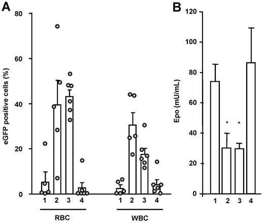 Figure 1. Greater proportion of modified peripheral blood cells 20 weeks after transplantation is induced by tEpoR. (A) Mean percentages, standard errors, and individual values of eGFP-positive RBCs and WBCs. HCs were transduced by RV (1), RV/Y1 (2), RV/Y1-2 (3), or RV/Y1-8 (4) retroviral vectors. (B) Mean plasma Epo levels and standard errors measured in the same mice. *P < .05 compared with groups 1 and 4.