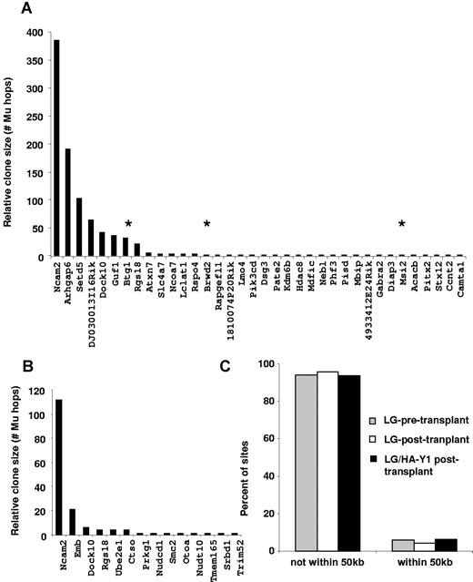 Figure 7. Lack of association of LG/HA-Y1 vector integration sites with proto-oncogenes after erythroid cell expansion. Integration sites from all 4 mice were pooled in this analysis. Integration sites isolated from Ter119+ (A) and CD45+ (B) BM cells are labeled according to the nearest RefSeq gene. The relative clone size was quantified by the number of times it was isolated with independent integration events catalyzed by MuA transposase in vitro. Proto-oncogenes, as annotated in the allOnco database.34 are indicated by asterisks. The frequency of IS in which the nearest gene is an oncogene is not statistically different between erythroid and nonerythroid cells (P = .5523). (C) Integration site proximity to proto-oncogenes. The proportions of integration sites > 50 kb and < 50 kb from a proto-oncogene are shown. No significant differences in the number of integration sites found < 50 kb from a proto-oncogene were found between integration sites identified in this study and IS characterized in HCs transduced with the LG vector before and after transplantation (P > .05 with the 2-tailed Fisher exact test).