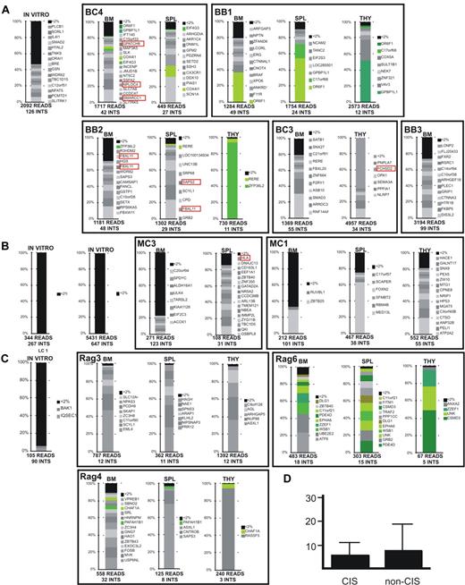 Figure 2. Relative retrieval frequency of sequencing reads of integration sites in in vitro and in vivo samples. Retrieval frequency of sequencing reads corresponding to a unique LV integration site from the in vitro culture and the indicated organs of mice that received a transplant with CD34+ HSPCs derived from BM (A), MPB (B), and CB (C) cells. Within a red box are represented the integrations at CISs (considered only CISs constituted by ≥ 4 integrations). LAM-PCR products were sequenced by 454-pyrosequencing or Sanger chemistry. Each bar shows the percentage of reads for each integration site in the sample dataset. The total number of reads and of unique integration sites (INTS) in each sample dataset is given. Integrations represented by < 2% of the total reads in the dataset were pooled and shown in black at the top of each bar (< 2%). Integrations represented by > 2% of the total sequencing reads are shown individually with the symbol of the targeted gene. Identical integrations found in different organs of the same mouse are shown in green. (D) The averaged percentage of sequencing reads representing CIS integrations and non-CIS integrations was not statistically different.