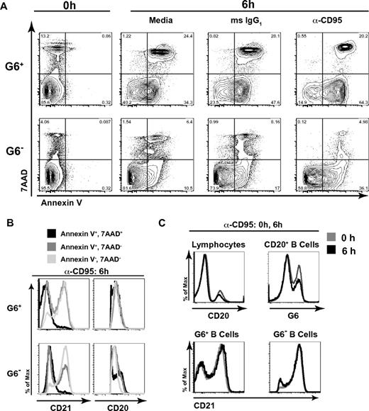 Figure 6. G6+ B cells are prone to apoptosis and cell death, and the apoptotic cells are disproportionately CD21low. PBMCs were incubated for 6 hours in the presence of media alone, mouse IgG1 (isotype control), or 1 μg/mL anti-CD95 with 2 μg/mL protein G. Cells were then stained with annexin V, 7-AAD, anti-CD20, anti-CD21, and G6 mAbs and were analyzed by flow cytometry. Analyses of G6+ and G6− CD20+ B cells are shown. (A) Annexin V and 7-AAD staining of cells at baseline and after 6 hours of stimulation. (B) Analysis of surface CD21 and CD20 expression on cells incubated for 6 hours with α-CD95/protein G; annexin V+7-AAD+, annexin V+7-AAD−, and annexin V−7-AAD− subsets. (C) Cell surface anti-CD20 (of total lymphocytes), G6 (of total B cells), and anti-CD21 (of G6+ and G6− B cells) staining at baseline, compared with 6 hours, of stimulation. PBMCs from LDU 125 were collected 10 months after the cells collected for the microarray and primary immunophenotyping experiments. Data are representative of 3 independent experiments.