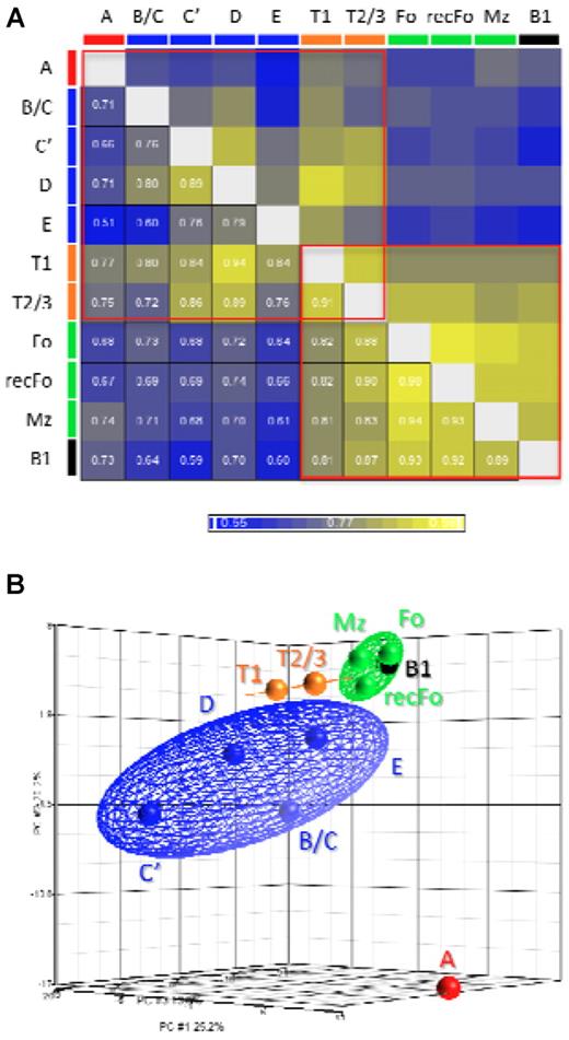Figure 3. Comparisons between the miRNA profiles of each fraction. (A) Pearson correlation coefficients for the comparisons between all fractions. (B) A 3-dimensional representation of the PCA. The cell fractions were grouped and depicted as follows: FrA cells (red), early B cells (FrB/C, C′, D, and E; blue), transitional B cells (T1 and T2/3; orange), mature B cells (Fo, recFo, and Mz; green), and B1 lineage B cells (black). The colored ellipsoids represent the 95% confidence boundaries for each of the groups described. The results described in this figure are in agreement with the model for development of the B2 B-cell lineage.