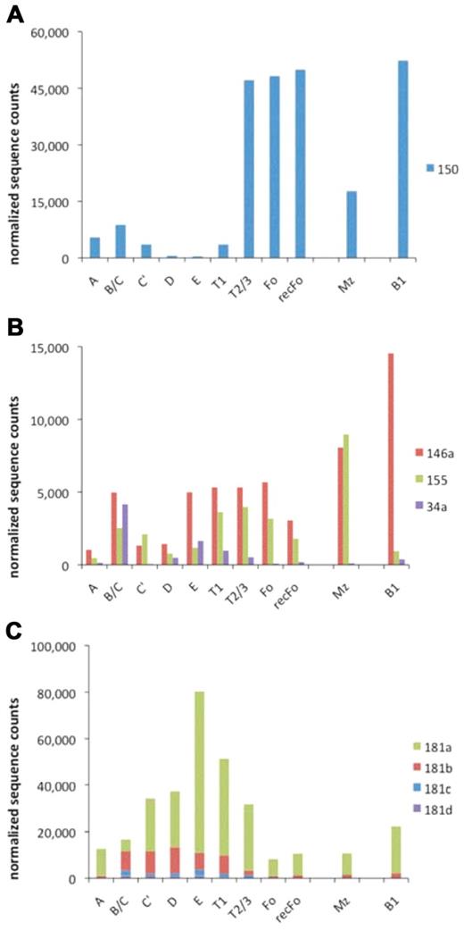 Figure 5. Expression of immunologic relevant miRNAs. The normalized counts for miR150 (A), miR-146a, miR-155, and miR-34a (B) in all B-cell developmental stages are shown. (C) The summed counts for the miR-181 family members are depicted. The results are in agreement with limited published data that are available.