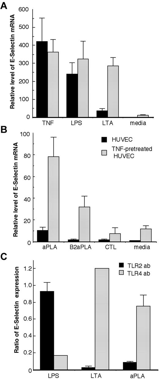 Figure 4. E-Selectin expression in HUVECs stimulated by aPLAs. HUVECs were preincubated for 24 hours with medium (HUVECs) or with 100 ng/mL of TNF (TNF-pretreated HUVECs), followed by an 8-hour washout with regular medium. (A) Cells were further incubated for 4 hours with 100 ng/mL of TNF, 1 μg/mL of LPS, 10 μg/mL of LTA, or medium alone. (B) Cells were further incubated for 4 hours with 500 μg/mL of aPLAs (n = 19), 100 μg/mL of β2GP1-immunopurified IgGs (n = 2), or 500 μg/mL of control human IgGs. Changes in E-selectin mRNA level were evaluated by qRT-PCR. Unstimulated HUVECs were taken as reference for basal E-selectin expression. Note that the cellular responses to 100 ng/mL of TNF or 1 μg/mL of LPS were similar in the TNF-pretreated cells and in the control cells, which shows that the cells had not become refractory to a subsequent inflammatory stimulus. The E-selectin mRNA level observed for TNF-pretreated HUVEC media conditions corresponded to the remaining effect of the 24-hour TNF stimulation followed by the 8-hour washout. Data are derived from 4 different cell preparations and are expressed as means ± SEM. (C) Cells were incubated for 30 minutes with TLR2- or TLR4-blocking antibodies, followed by a 4-hour incubation with 500 μg/mL of 6 aPLA preparations selected among the highest stimulators, 1 μg/mL of LPS, or 10 μg/mL of LTA for 4 hours. Changes in E-selectin mRNA levels were evaluated by qRT-PCR. The results are expressed as the ratio of the E-selectin response of TNF-pretreated HUVECs incubated with the blocking anti-TLR2 antibodies compared with the E-selectin response of TNF-pretreated HUVECs. Data are derived from 5 different HUVEC preparations, and are expressed as means ± SEM (n = 5).