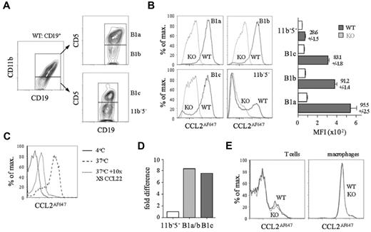 Figure 2. All conventional peritoneal cavity B1 cells show D6-dependent CCL2AF647 uptake. (A) Flow cytometric fractionation of WT peritoneal cavity CD19+ cells using anti-CD11b and anti-CD5. (B) Overlaid CCL2AF647 uptake profiles of WT (black) and D6-deficient (KO; gray) peritoneal cavity CD19+ cell subsets. Bar graph shows average MFI ± SEM of CCL2AF647 uptake by each subset. (C) Overlaid flow cytometry plots of CCL2AF647 uptake by WT CD19+CD11b+ peritoneal cavity cells after incubation at 4°C (black) or at 37°C in the presence (gray) or absence (dashed) of a 10-fold excess of unlabeled CCL22. (D) Expression of D6 mRNA in FACS-sorted B-cell populations (pooled from 4 WT mice). B1a/b are CD19+CD11b+ cells. Expression by CD19+CD11b−CD5− (11b−5−) cells was set to 1. (E) Overlaid CCL2AF647 uptake profiles of WT (black) and KO (gray) peritoneal cavity T cells (CD19−CD11b−CD5hi) and macrophages (CD19−CD11b+CD5−). Flow cytometric profiles are representative of data generated from > 3 mice per genotype per experiment, with experiments repeated at least 3 times.